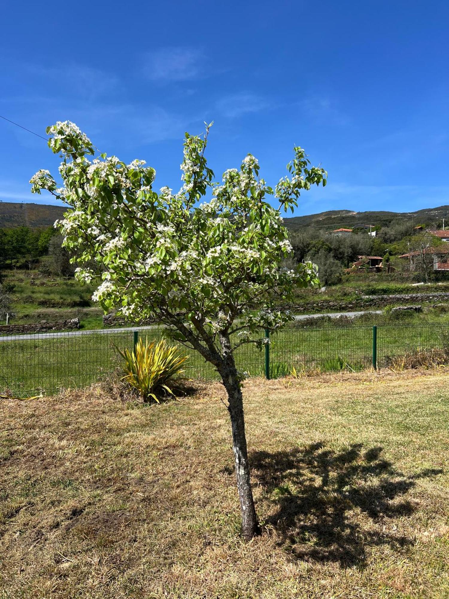 Casa Da Cabracao - Circuito Aldeias De Portugal *